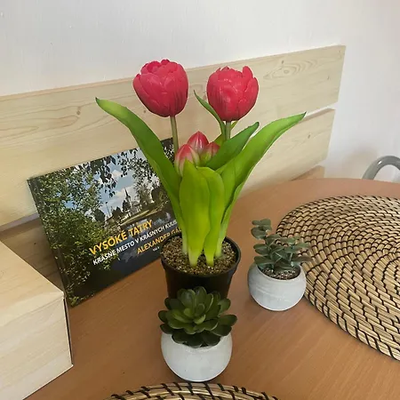 Apartament V Srdci Tatier *